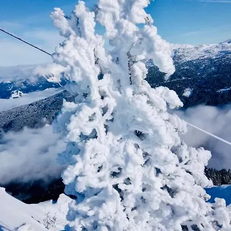 호텔 Gartenhotel Garni 인스브루크