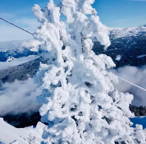 Hotel Gartenhotel Garni Innsbruck